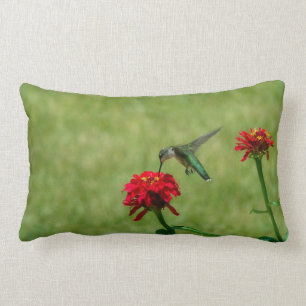 Hummingbird och röda Zinnias Lumbarkudde