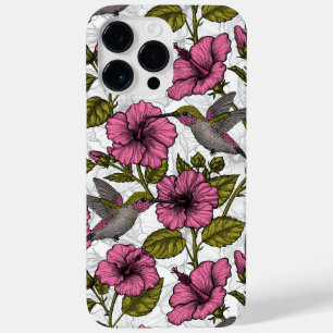 Hummingbird och rosa hibiscus-blommor