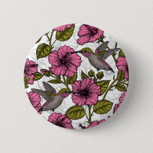 Hummingbird och rosa hibiscus-blommor knapp