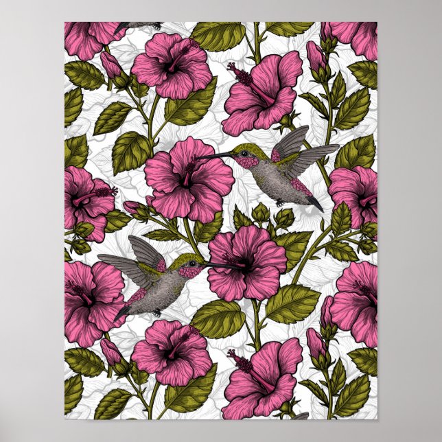 Hummingbird och rosa hibiscus-blommor poster (Framsidan)