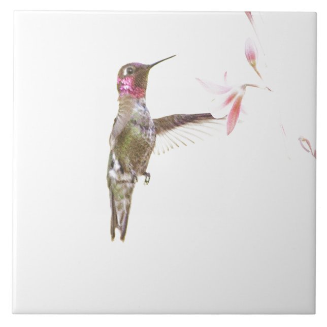 Hummingbird och singelblomma kakelplatta (Framsidan)