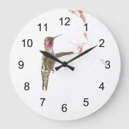 Hummingbird och singelblomma stor klocka