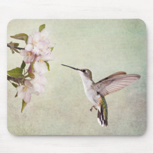 Hummingbird och vår blommor musmatta