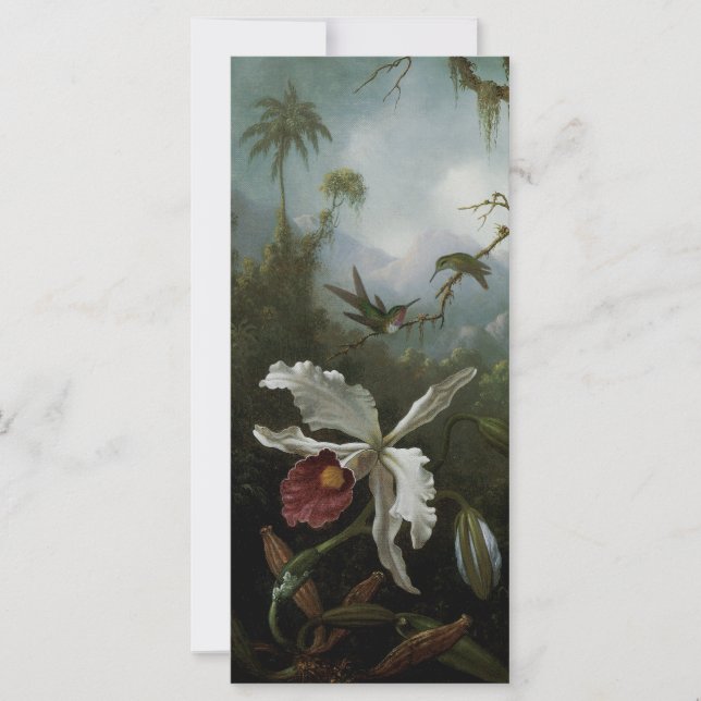 Hummingbird och White Orchid av Martin J. Heade (Framsida)