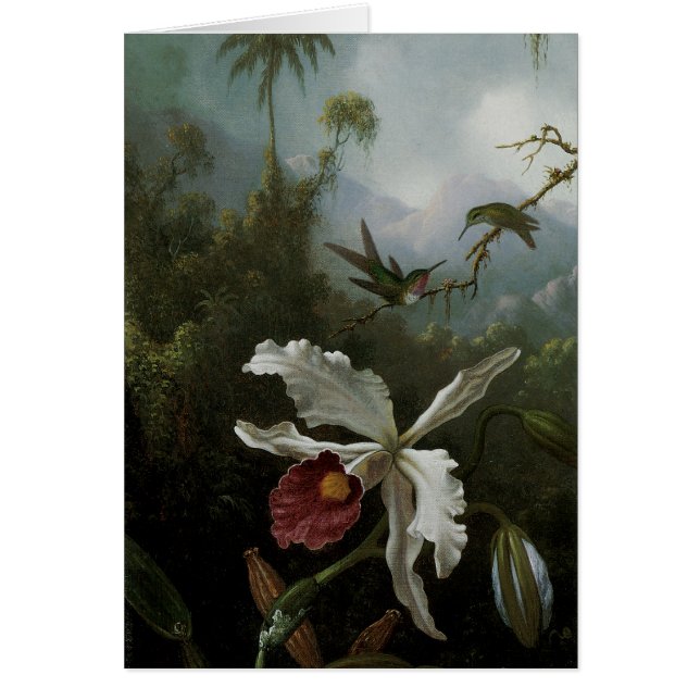 Hummingbird och White Orchid av Martin J. Heade Hälsningskort (Framsidan)
