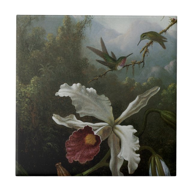 Hummingbird och White Orchid av Martin J. Heade Kakelplatta (Framsidan)