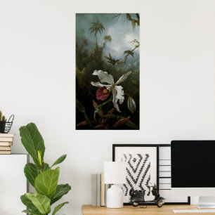 Hummingbird och White Orchid av Martin J. Heade Poster