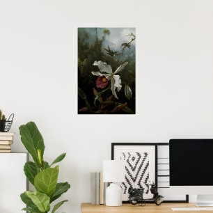 Hummingbird och White Orchid av Martin J. Heade Poster