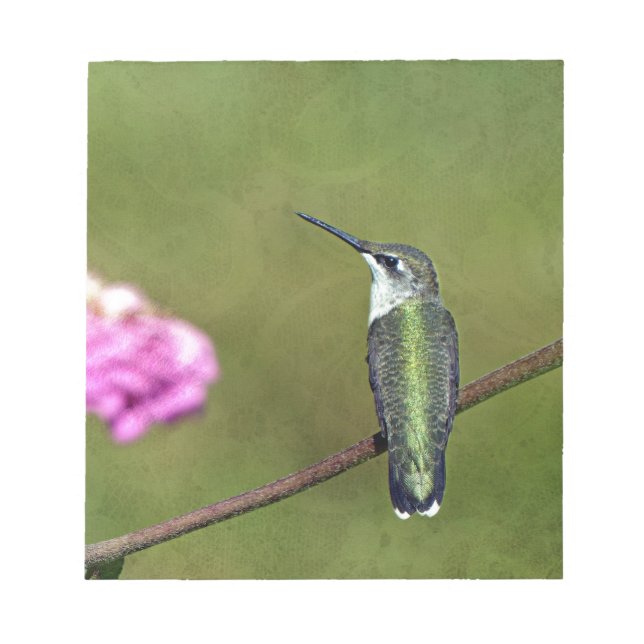 Hummingbird och Zinnia Anteckningsblock (Framsida)