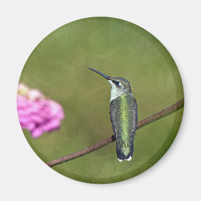 Hummingbird och Zinnia Magnet (Framsidan)