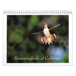 Hummingbird of California 2024 Calendar Kalender