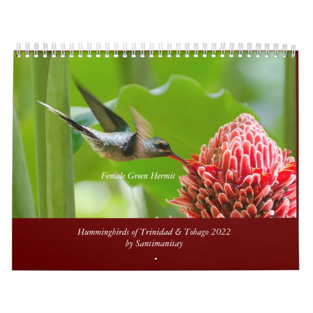 Hummingbird of Trinidad & Tobago 2022 Calendar Kalender (Omslag)
