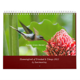 Hummingbird of Trinidad & Tobago 2022 Calendar Kalender