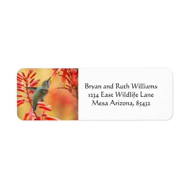 Hummingbird omgiven av röd yucca returadress etikett (Framsidan)