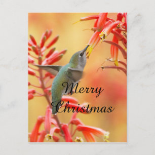 Hummingbird omgiven av yucca,God jul Helg Vykort