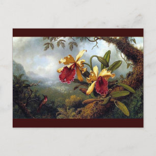 Hummingbird Orchids-målning Vykort