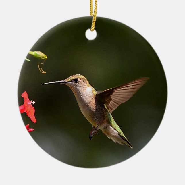 Hummingbird Ornament (Framsidan)