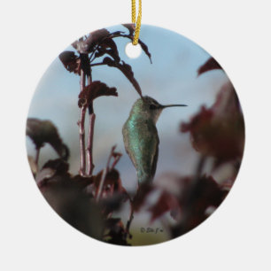 Hummingbird Ornament