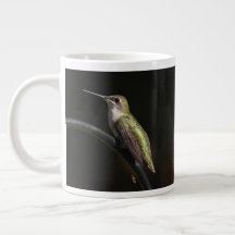 Hummingbird på Black 20 oz BIG Mugg