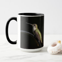 Hummingbird på Black