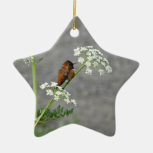 Hummingbird på drottning Anns snöre-blomma Julgransprydnad Keramik