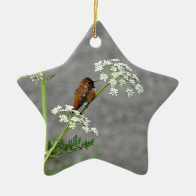 Hummingbird på drottning Anns snöre-blomma Julgransprydnad Keramik (Framsidan)