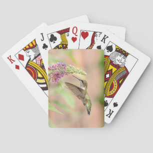 Hummingbird på en blommar anläggning casinokort