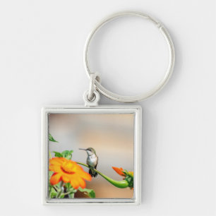 Hummingbird på en blommar anläggning fyrkantig silverfärgad nyckelring