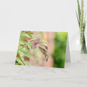 Hummingbird på en blommar anläggning helgkort