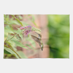Hummingbird på en blommar anläggning kökshandduk