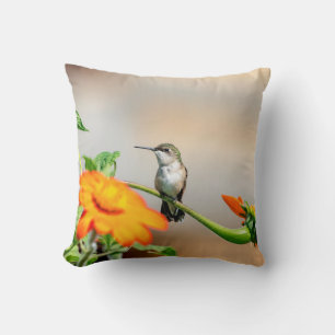 Hummingbird på en blommar anläggning kudde