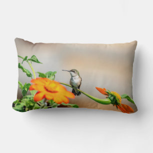 Hummingbird på en blommar anläggning lumbarkudde
