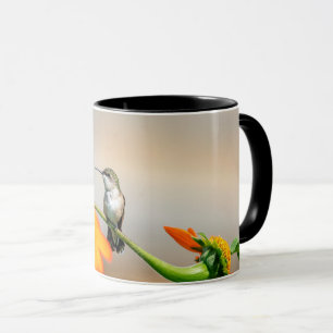 Hummingbird på en blommar anläggning mugg