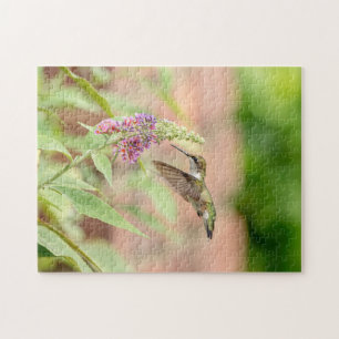 Hummingbird på en blommar anläggning pussel