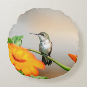 Hummingbird på en blommar anläggning rund kudde