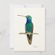 Hummingbird på Gren