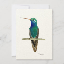 Hummingbird på Gren