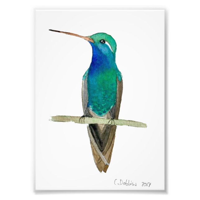 Hummingbird på Gren Fototryck (Framsidan)