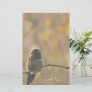 Hummingbird på Gren Gult Grönt Färg Brevpapper