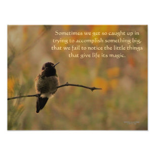 Hummingbird på Gren Gult Grönt Färg Fototryck