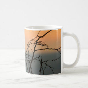 Hummingbird på gren kaffemugg