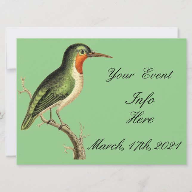 Hummingbird på Gren Thunder_Cove (Framsida)