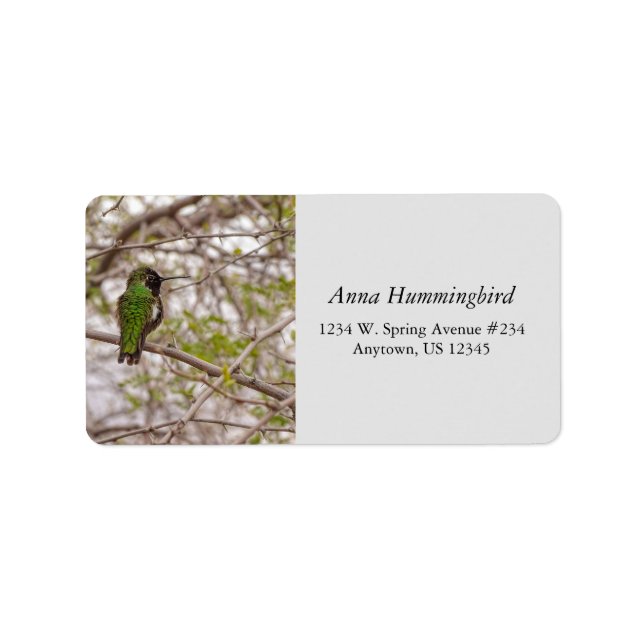 Hummingbird på Gren vårtid Grönt Färg Adressetikett (Framsidan)