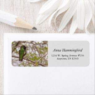 Hummingbird på Gren vårtid Grönt Färg Returadress Etikett