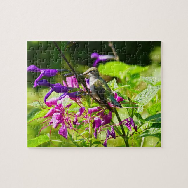 Hummingbird på Hummingbird Mint Pussel (Horisontell)