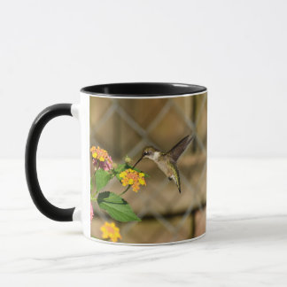 Hummingbird på Lantana 11 oz Mugg