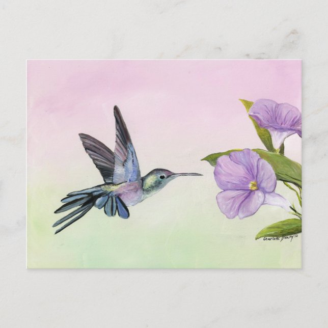 Hummingbird på morgonen Glory-fågelart Postcard Vykort (Framsida)