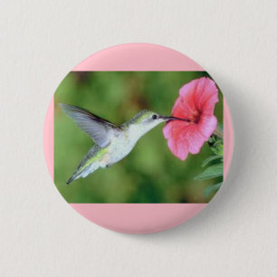 Hummingbird på rund knapp
