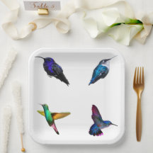 Hummingbird pappra tallrikar