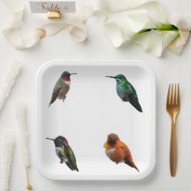 Hummingbird pappra tallrikar